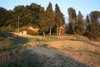 piante grasse del giardino sottovico