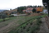 piante grasse del giardino sottovico