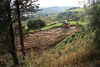 piante grasse del giardino sottovico