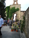 piante grasse del giardino sottovico