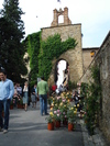 piante grasse del giardino sottovico