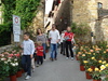 piante grasse del giardino sottovico