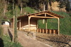 piante grasse del giardino sottovico