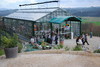 piante grasse del giardino sottovico