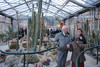 piante grasse del giardino sottovico