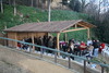 piante grasse del giardino sottovico