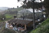 piante grasse del giardino sottovico