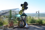 piante grasse del giardino sottovico