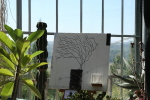 piante grasse del giardino sottovico