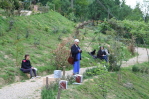 piante grasse del giardino sottovico