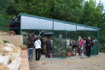 piante grasse del giardino sottovico