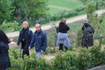 piante grasse del giardino sottovico