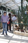 piante grasse del giardino sottovico