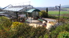 piante grasse del giardino sottovico