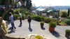 piante grasse del giardino sottovico