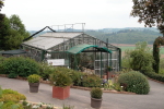 piante grasse del giardino sottovico