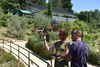 piante grasse del giardino sottovico