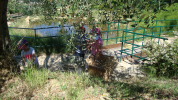 piante grasse del giardino sottovico