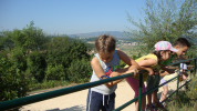 piante grasse del giardino sottovico