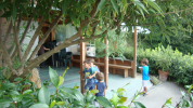 piante grasse del giardino sottovico