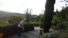piante grasse del giardino sottovico