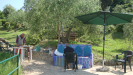 piante grasse del giardino sottovico