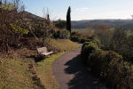 piante grasse del giardino sottovico